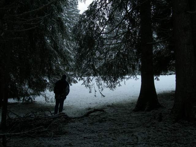 Macromiceti jurassiani � la lunga ricerca